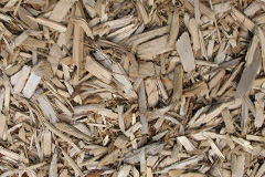 biomass boilers Orgreave